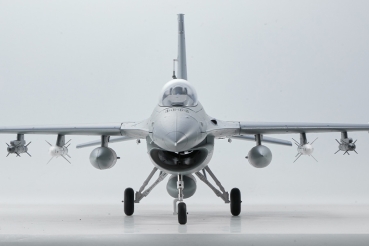 DPFMS146PGY FMS F16 EDF 64 PNP grau - 74 cm